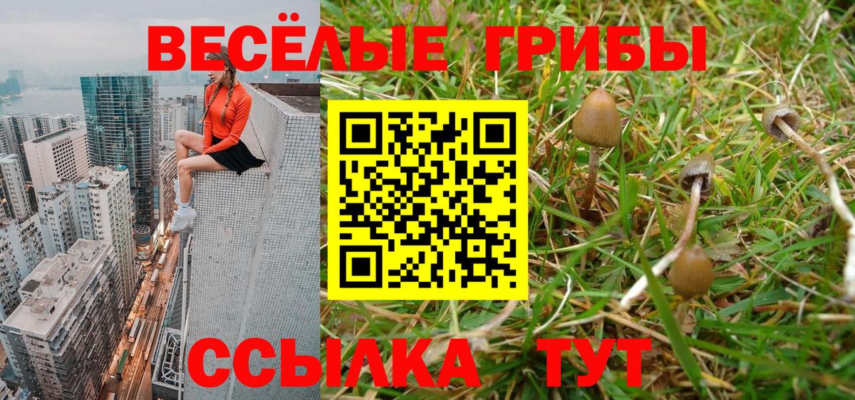 Галлюциногенные грибы Magic Shrooms  Псилоцибиновые грибы Psilocybine cubensis  Коряжма  Вход с VPN 